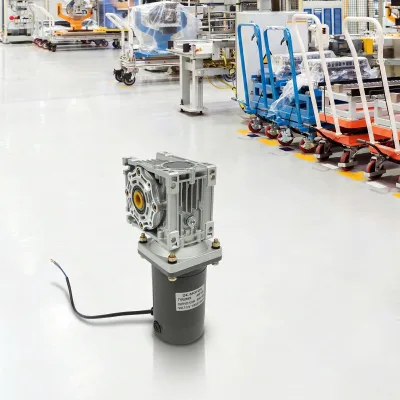 Motoréducteur à vis sans fin 12 V, 120 W, gris